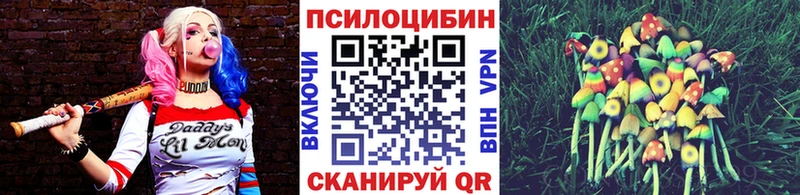 мориарти состав  Чита  Галлюциногенные грибы мицелий 